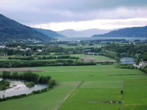 surna 2_500x375