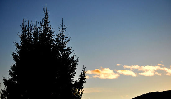 mildt og fint_550x319
