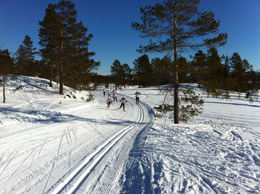 rindølrennet2