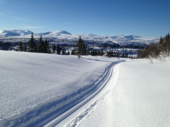Skuterpreppa løype_715x536
