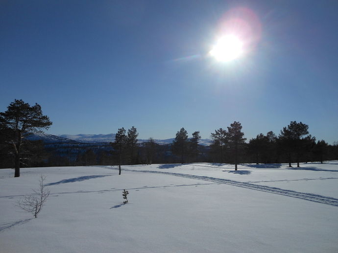 Sol i fjellet _715x536
