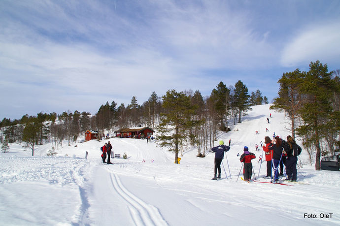 IMGP5700_715x475
