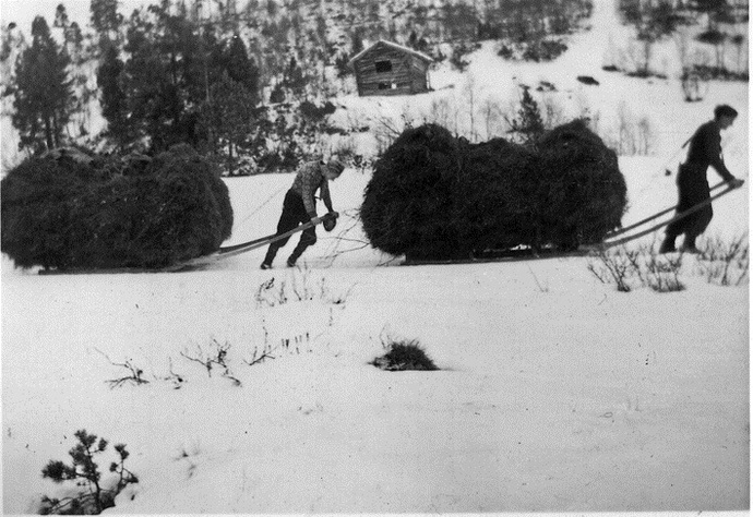 Høylassp\\\\å dragarkjelke Tørsåsløa-2-1
