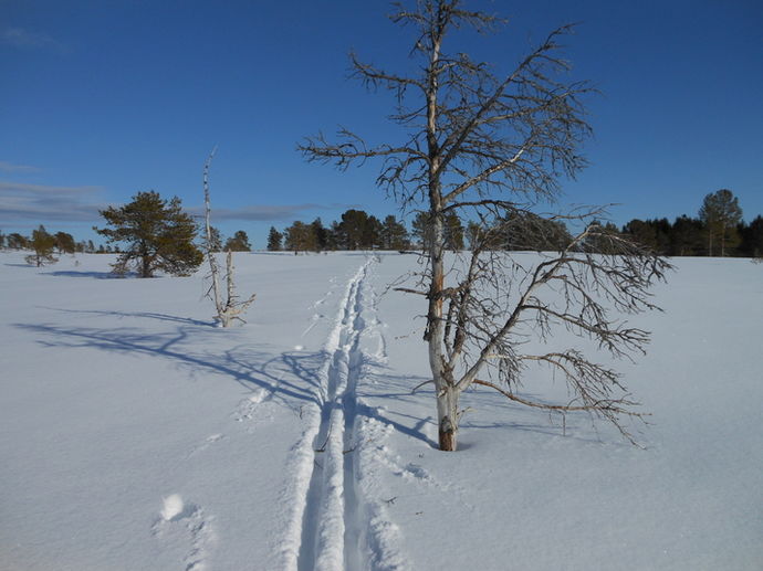 Sol og skispor