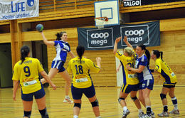 d4 nerland bergheim