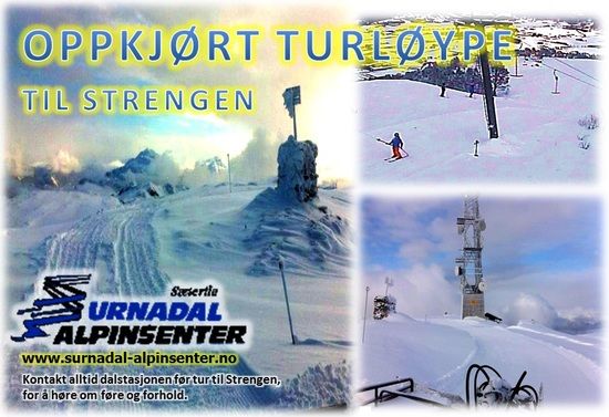oppkjort-turloype-til-strengen_550x377