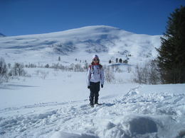 Bolmsetrin med Hestfjellet_1024x768