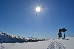 Skirenn 3