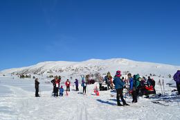Skirenn 5
