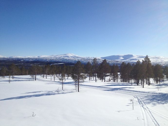 Mot Trollheimen_715x536