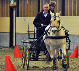 trolheimshallen ola t anders moen