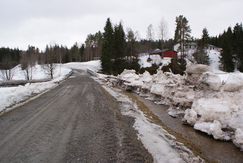 Vårløysing _500x334