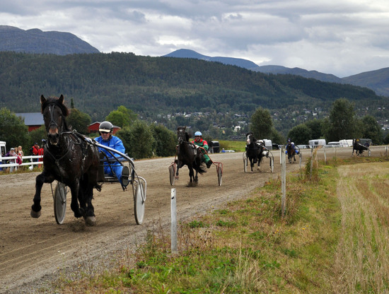 travløp syltoen_550x416.jpg