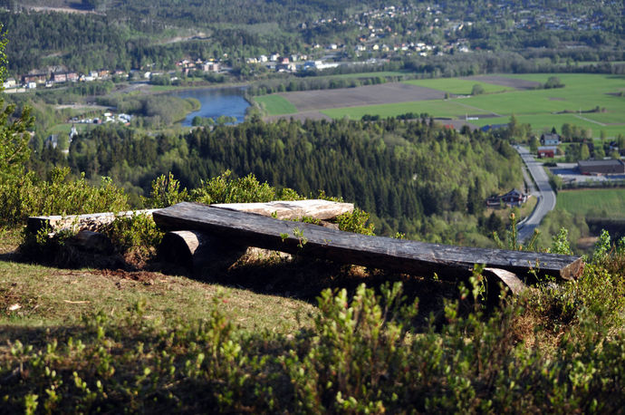 Fra Høgberget i Surnadal. Foto: Mari Vattøy