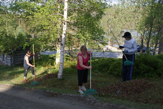 Raking_715x479