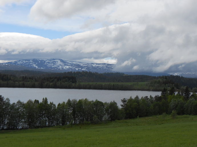 Grått og vått sommer_715x536