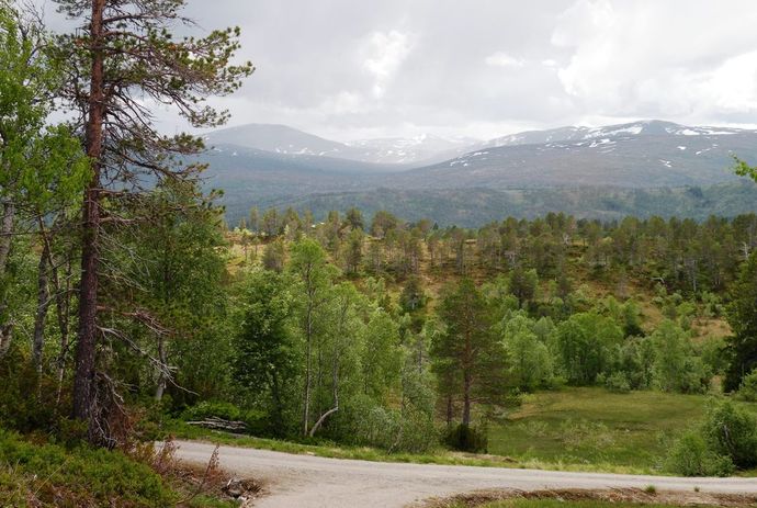 Flo i Trollheimen_1024x687