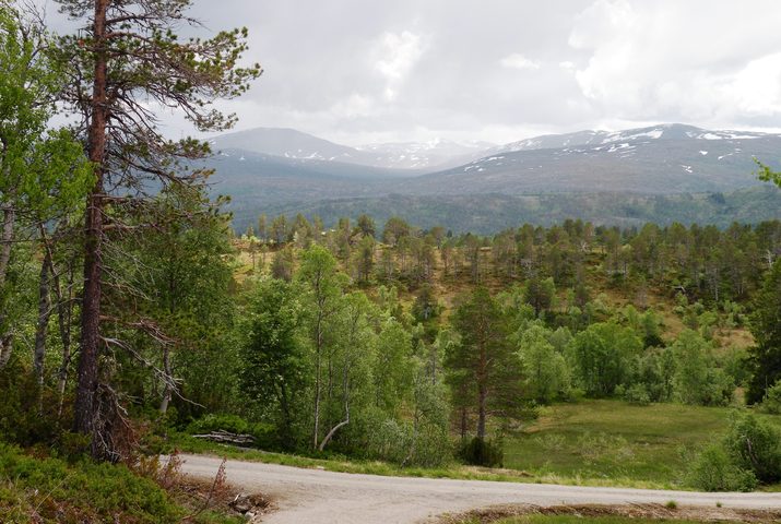 Flo i Trollheimen_715x480.jpg