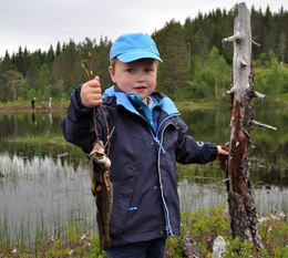 gløna sivert stene