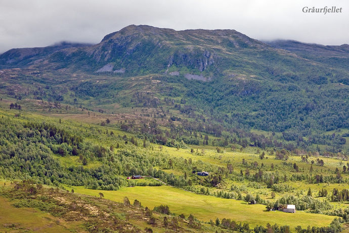 Gråurfjellet