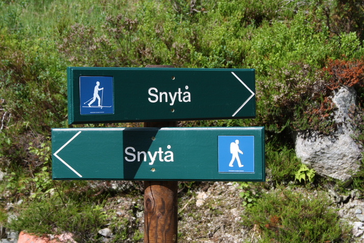 SnytåX2_715x477.jpg