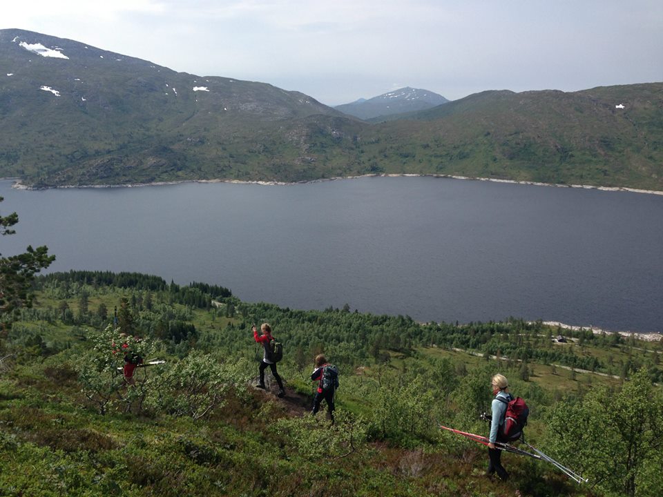 Ned mot Follsjøen, Knyken i bakgrunnen.jpg