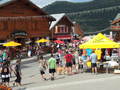 Rindalinger i Alpe d\'Huez dagen før dagen. Foto: Gunn Marit Løfald