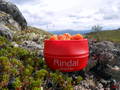 Rindal - tid til å leve. Foto: Anne S.