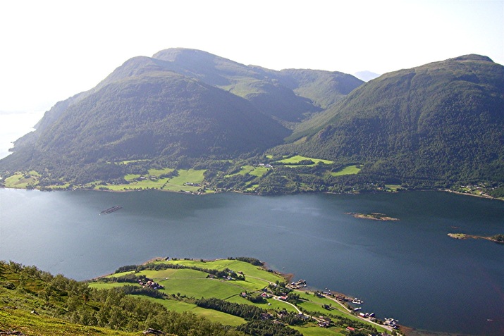 Fjorddag G BØFJORDEN_715x477.jpg