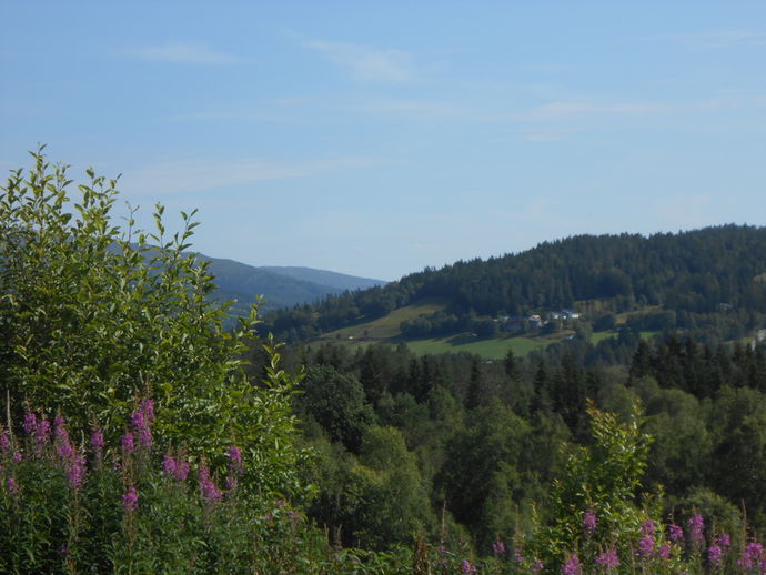 Sommer Høgtun