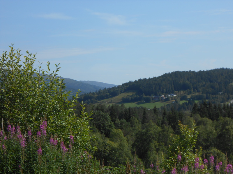 Sommer Høgtun.jpg