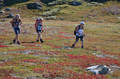 Høsttur. Foto: H.E.Folden