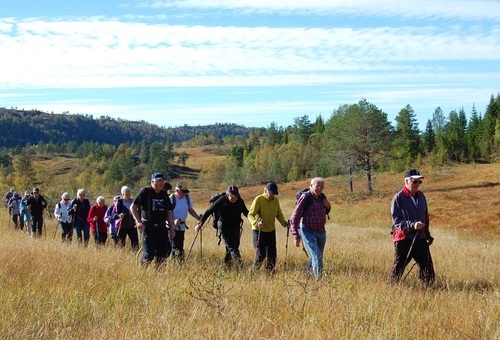 Tågdalen forside