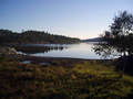 En fin oktoberdag på Nordmarka. Foto: Mari Vattøy