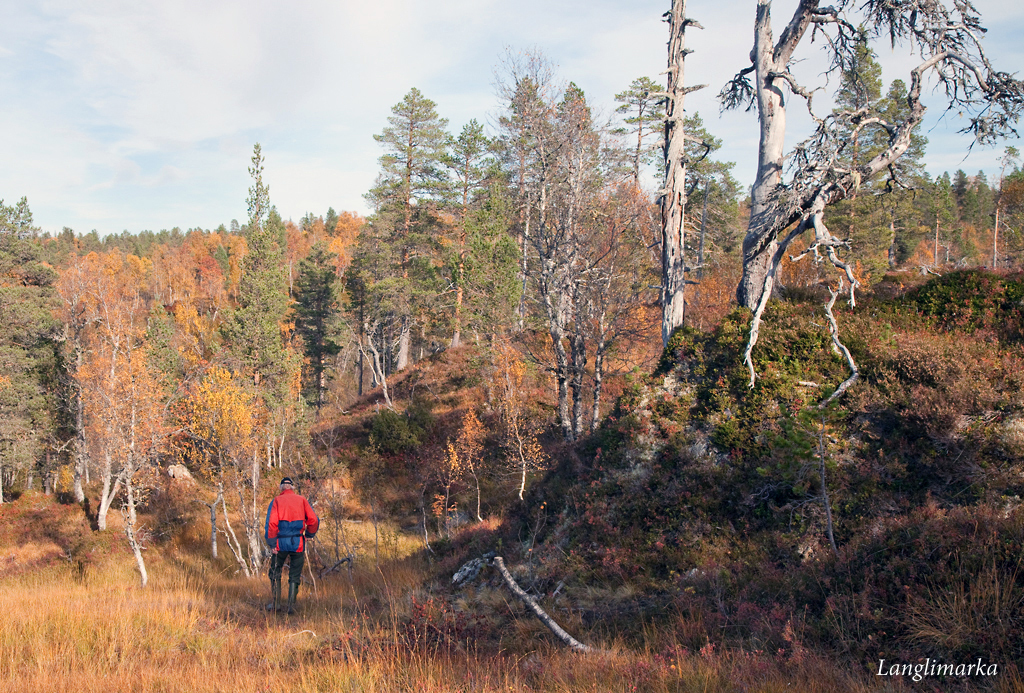 Langlimarka.jpg