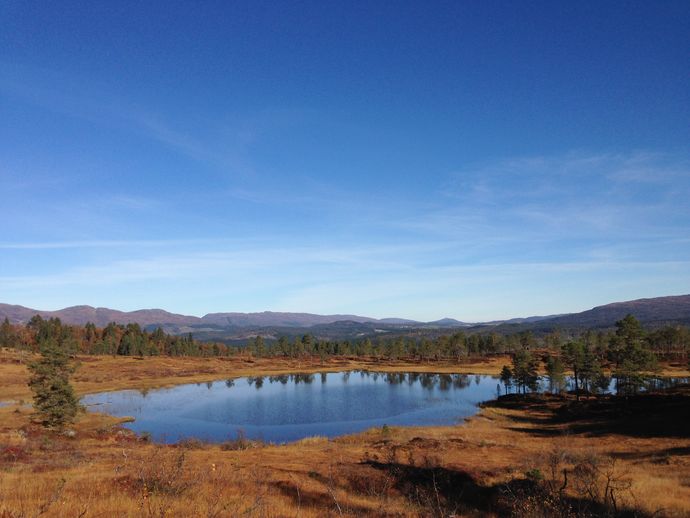 bolmbogsvatnet