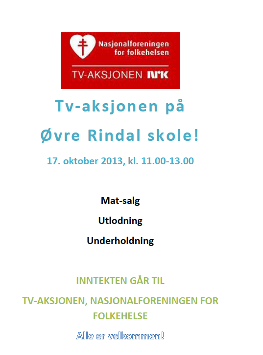 TV-aksjonen 2013.png