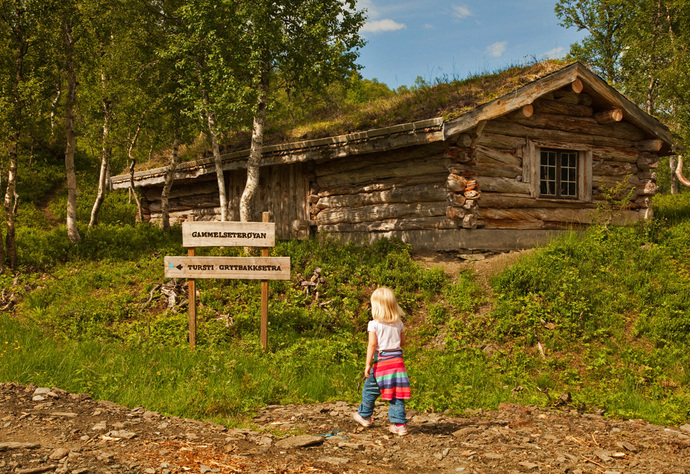 gammelseterøyan