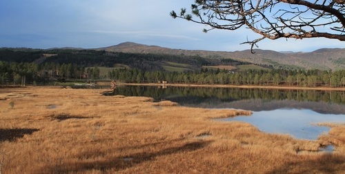 Utsikt fra fugletittertåret 1 nov 2013_500x252