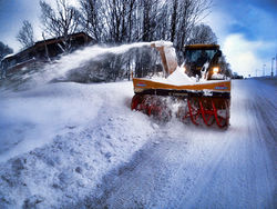 snobroyting_006-w