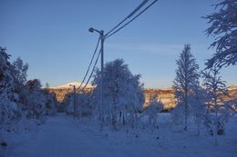 2013-11-21 Sesongens første skitur roint Tjønna 025
