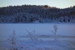 2013-11-21 Sesongens første skitur roint Tjønna 077
