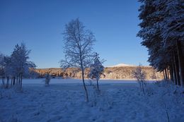 2013-11-21 Sesongens første skitur roint Tjønna 118