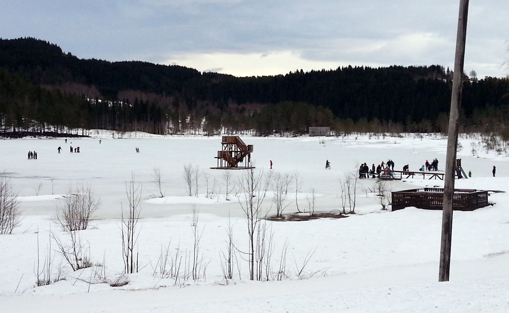 tjønna vinter2.jpg