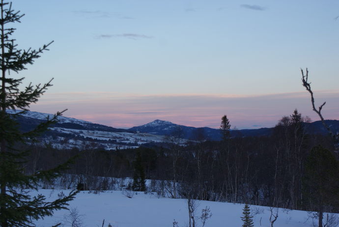 Vinter mot Gjømshøgda 