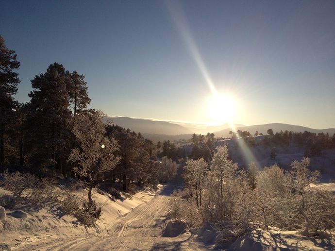 Vakker vinter Tørsetmarka jan 2014_715x536