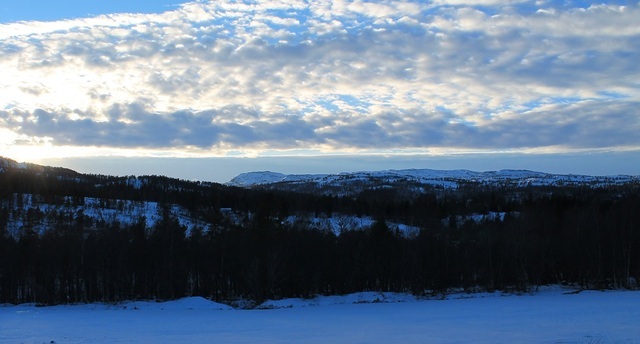 Vinterdag på Storholten jan 2014