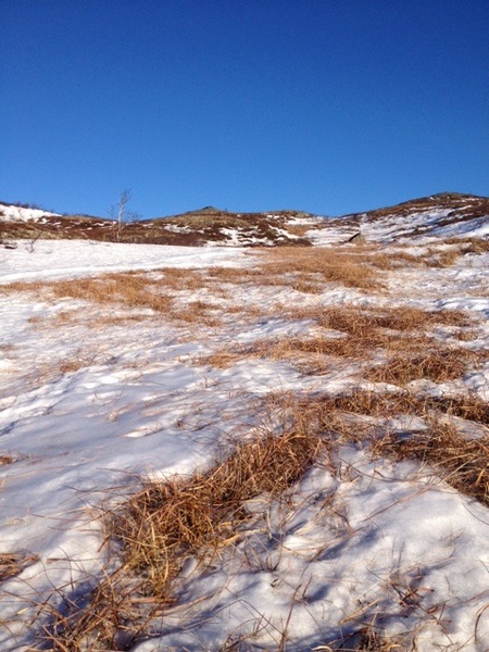 Gråurfjellet 2 jan 2014.jpeg