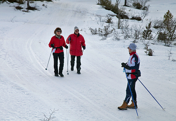 Skåkleiva-b_600x413.jpg