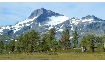 Verneområdsstyret for Trollheimen, logo